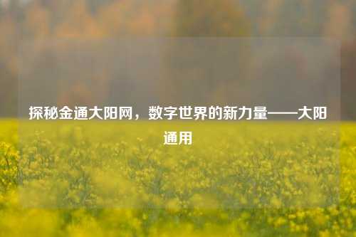 探秘金通大阳网，数字世界的新力量——大阳通用