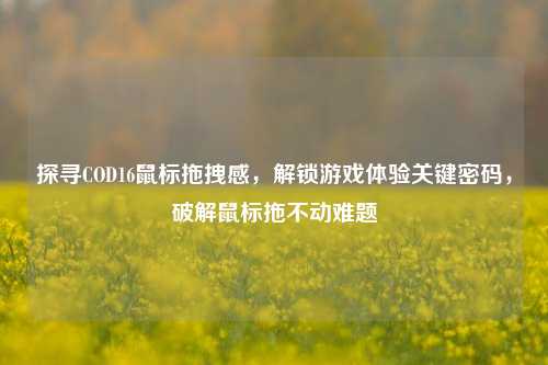 探寻COD16鼠标拖拽感，解锁游戏体验关键密码，破解鼠标拖不动难题