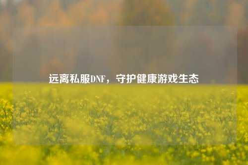 远离私服DNF,守护健康游戏生态