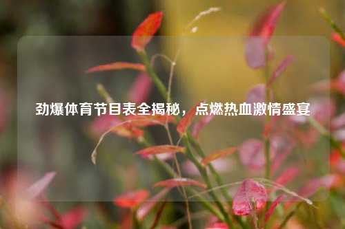 劲爆体育节目表全揭秘,点燃热血激情盛宴