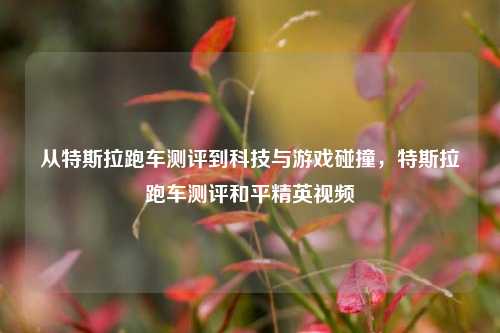 从特斯拉跑车测评到科技与游戏碰撞,特斯拉跑车测评和平精英视频