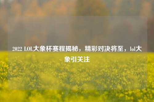 2022 LOL大象杯赛程揭秘，精彩对决将至，lol大象引关注