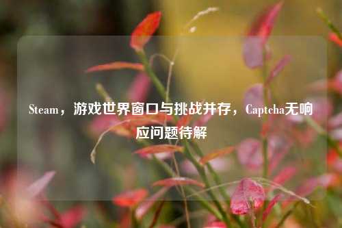 Steam,游戏世界窗口与挑战并存,Captcha无响应问题待解