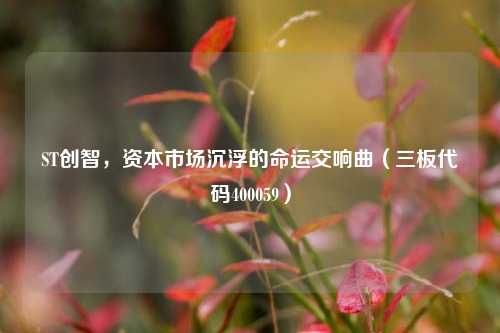 ST创智,资本市场沉浮的命运交响曲(三板代码400059)