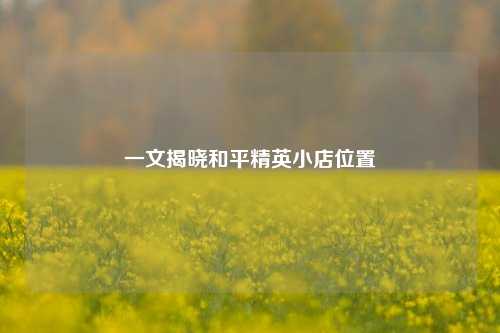 一文揭晓和平精英小店位置