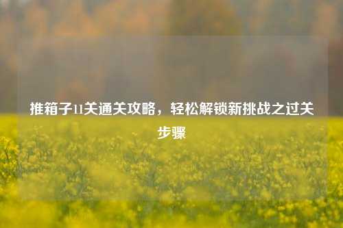 推箱子11关通关攻略,轻松解锁新挑战之过关步骤