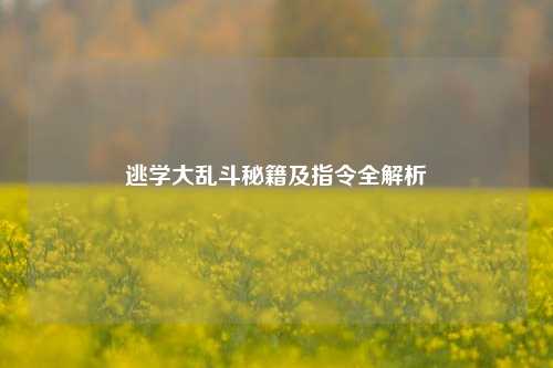 逃学大乱斗秘籍及指令全解析