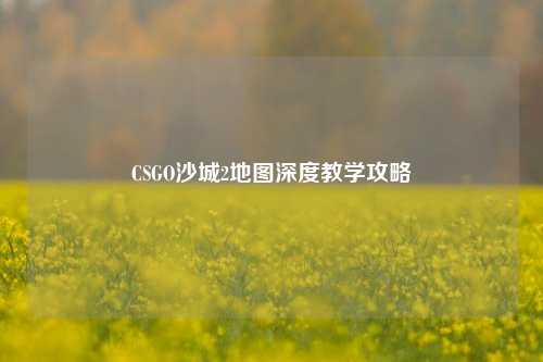 CSGO沙城2地图深度教学攻略