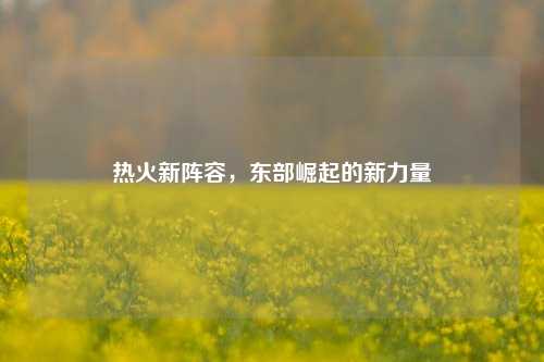热火新阵容，东部崛起的新力量