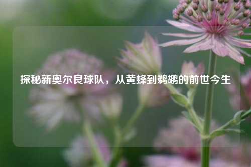 探秘新奥尔良球队,从黄蜂到鹈鹕的前世今生