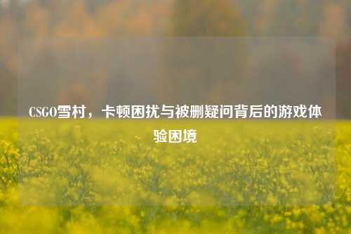 CSGO雪村,卡顿困扰与被删疑问背后的游戏体验困境