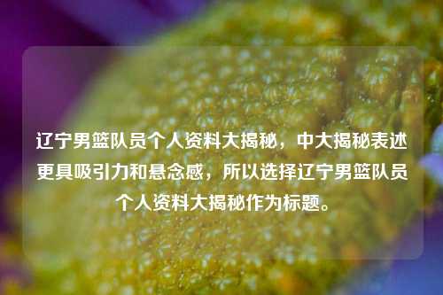 辽宁男篮队员个人资料大揭秘,中大揭秘表述更具吸引力和悬念感,所以选择辽宁男篮队员个人资料大揭秘作为标题。