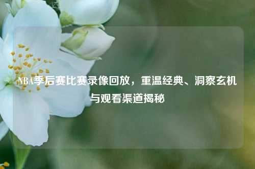 NBA季后赛比赛录像回放,重温经典、洞察玄机与观看渠道揭秘
