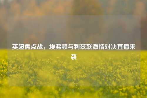 英超焦点战,埃弗顿与利兹联激情对决直播来袭