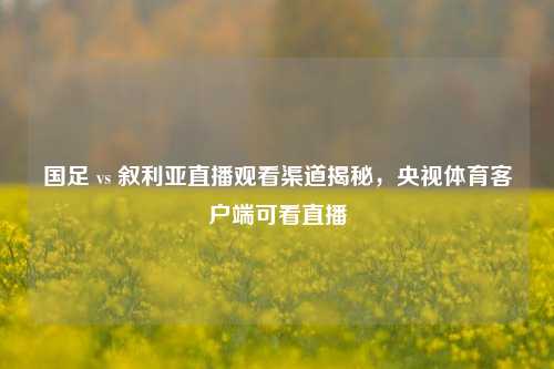 国足 vs 叙利亚直播观看渠道揭秘,央视体育客户端可看直播