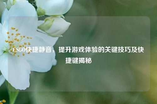 CSGO快捷静音,提升游戏体验的关键技巧及快捷键揭秘
