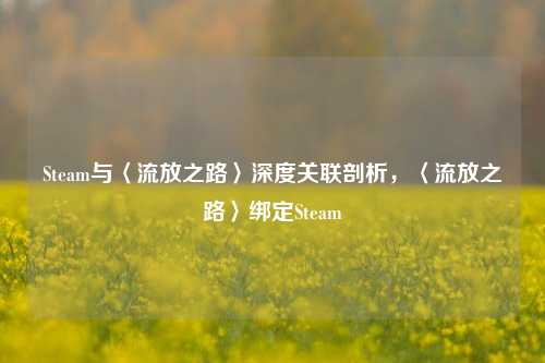 Steam与〈流放之路〉深度关联剖析,〈流放之路〉绑定Steam