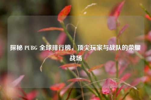 探秘 PUBG 全球排行榜，顶尖玩家与战队的荣耀战场