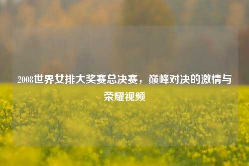 2008世界女排大奖赛总决赛，巅峰对决的激情与荣耀视频