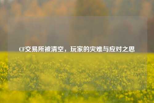 CF交易所被清空,玩家的灾难与应对之思