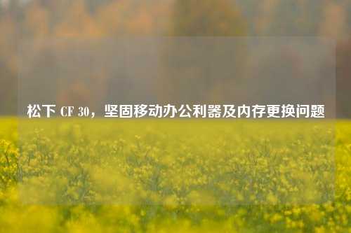 松下 CF 30,坚固移动办公利器及内存更换问题