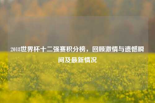 2018世界杯十二强赛积分榜,回顾激情与遗憾瞬间及最新情况
