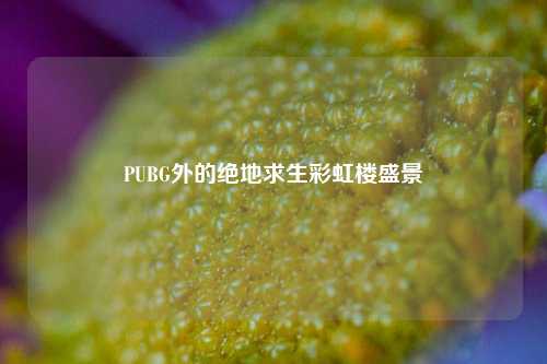 PUBG外的绝地求生彩虹楼盛景