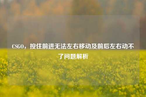 CSGO，按住前进无法左右移动及前后左右动不了问题解析