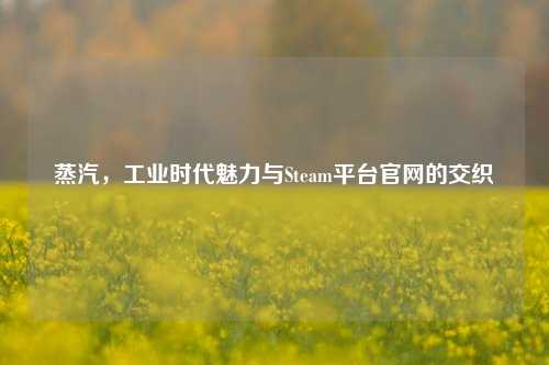 蒸汽,工业时代魅力与Steam平台官网的交织