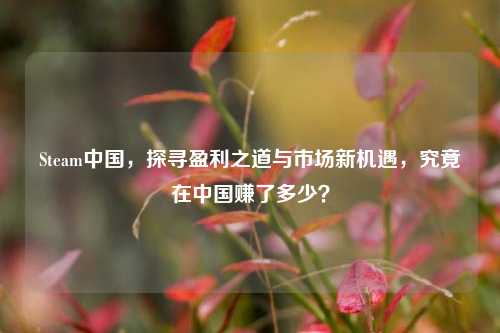 Steam中国,探寻盈利之道与市场新机遇,究竟在中国赚了多少?