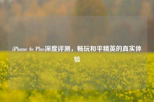 iPhone 6s Plus深度评测,畅玩和平精英的真实体验