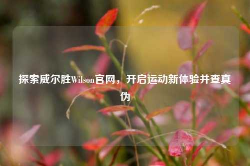 探索威尔胜Wilson官网,开启运动新体验并查真伪