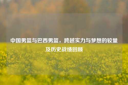中国男篮与巴西男篮,跨越实力与梦想的较量及历史战绩回顾