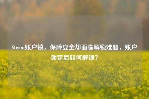Steam账户锁,保障安全却面临解锁难题,账户锁定后如何解锁?