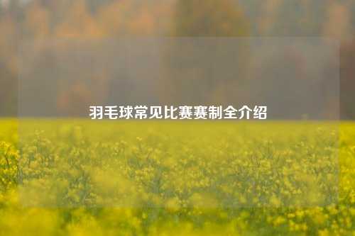 羽毛球常见比赛赛制全介绍