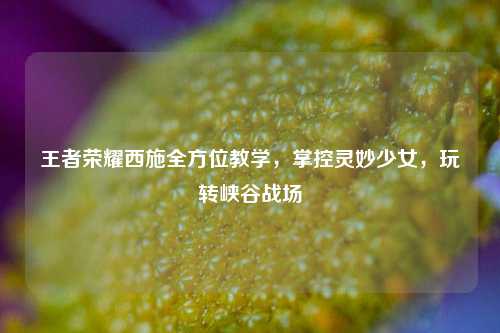 王者荣耀西施全方位教学,掌控灵妙少女,玩转峡谷战场