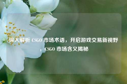 深入解析 CSGO 市场术语,开启游戏交易新视野,CSGO 市场含义揭秘