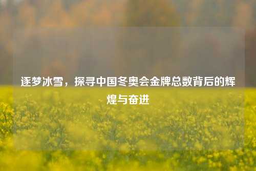 逐梦冰雪,探寻中国冬奥会金牌总数背后的辉煌与奋进