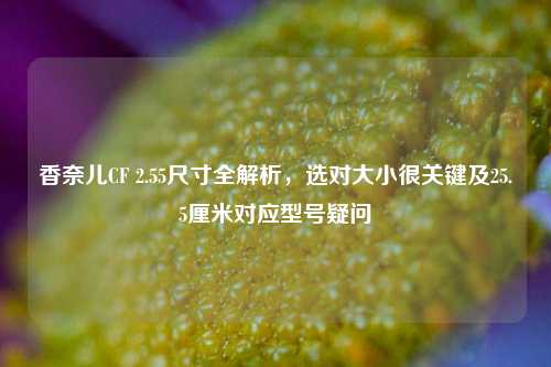 香奈儿CF 2.55尺寸全解析，选对大小很关键及25.5厘米对应型号疑问