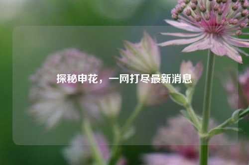 探秘申花,一网打尽最新消息