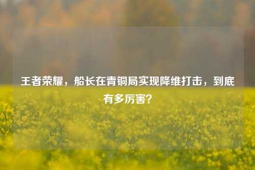 王者荣耀,船长在青铜局实现降维打击,到底有多厉害?