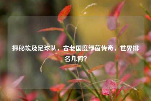 探秘埃及足球队,古老国度绿茵传奇,世界排名几何?
