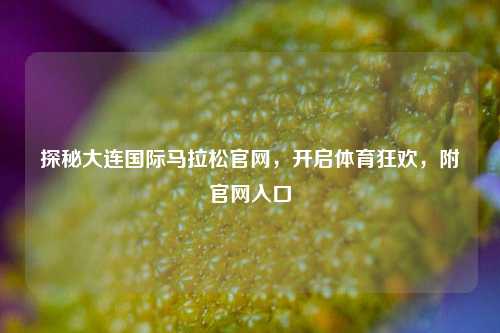 探秘大连国际马拉松官网,开启体育狂欢,附官网入口
