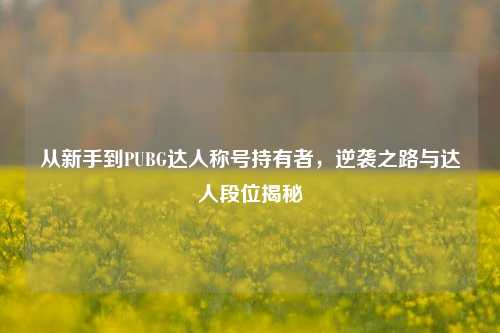 从新手到PUBG达人称号持有者,逆袭之路与达人段位揭秘