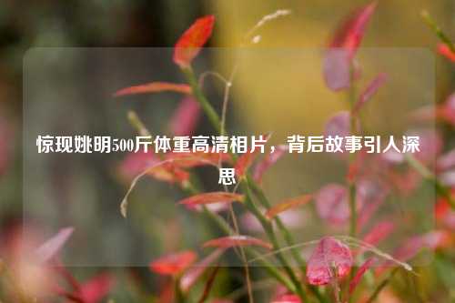 惊现姚明500斤体重高清相片,背后故事引人深思