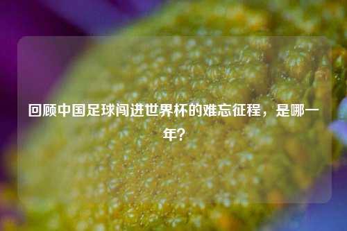 回顾中国足球闯进世界杯的难忘征程,是哪一年?
