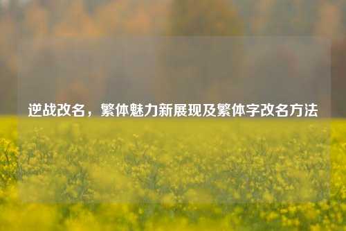 逆战改名,繁体魅力新展现及繁体字改名方法