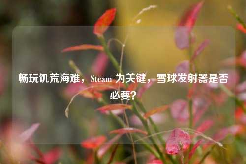 畅玩饥荒海难,Steam 为关键,雪球发射器是否必要?