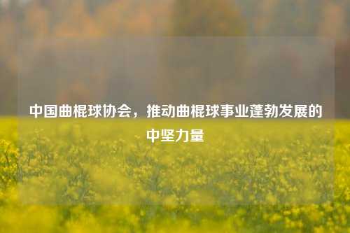 中国曲棍球协会,推动曲棍球事业蓬勃发展的中坚力量