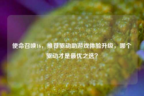 使命召唤16,推荐驱动助游戏体验升级,哪个驱动才是最优之选?